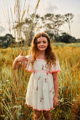 Embroidered mint cotton birthday dress with butterfly sleeves