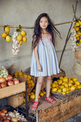 Camila Dress | Blue Lurex Stripes