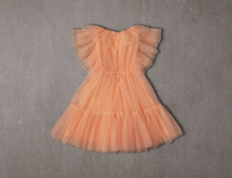 Anastasia Dress | Peach Soda