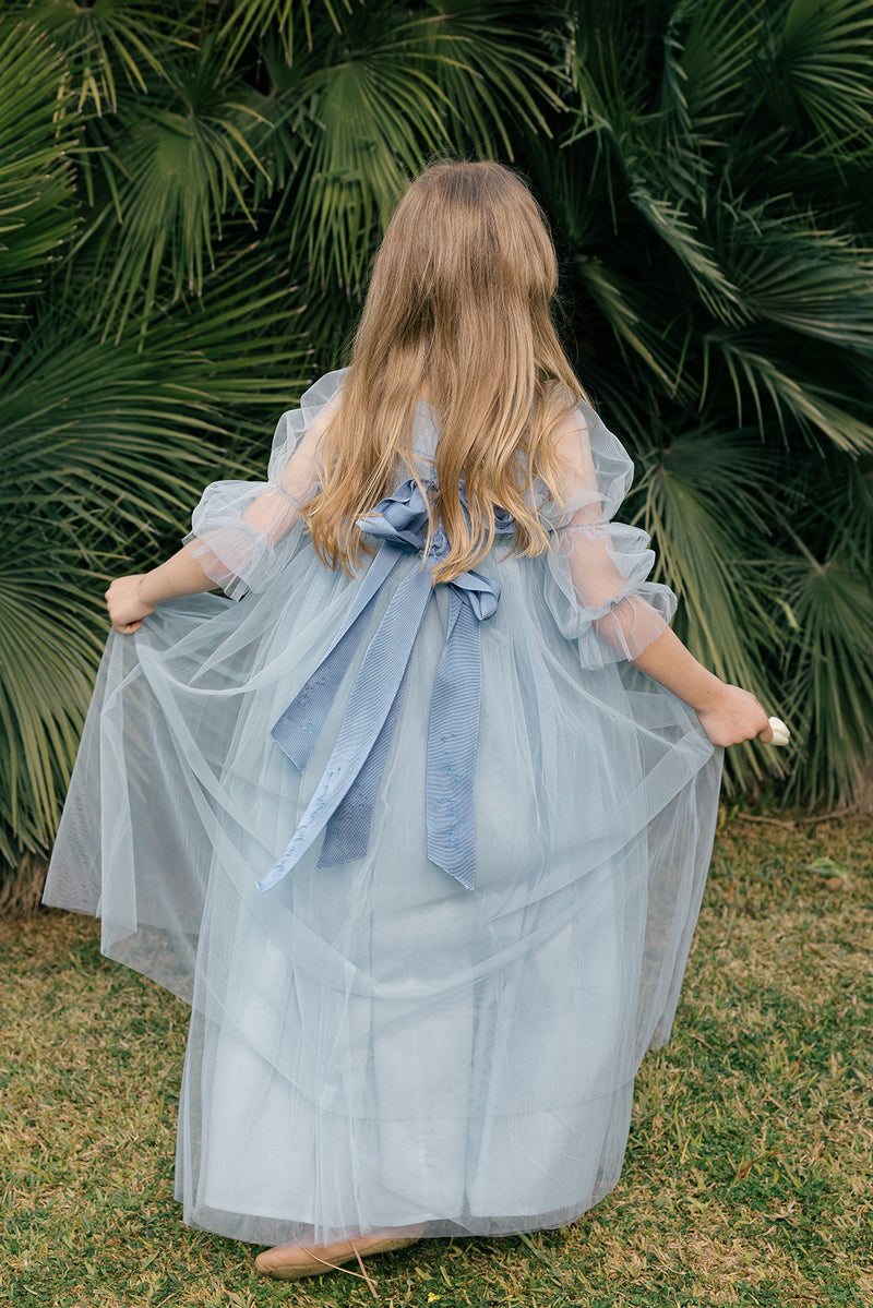 ash blue dresses Isabella Dress