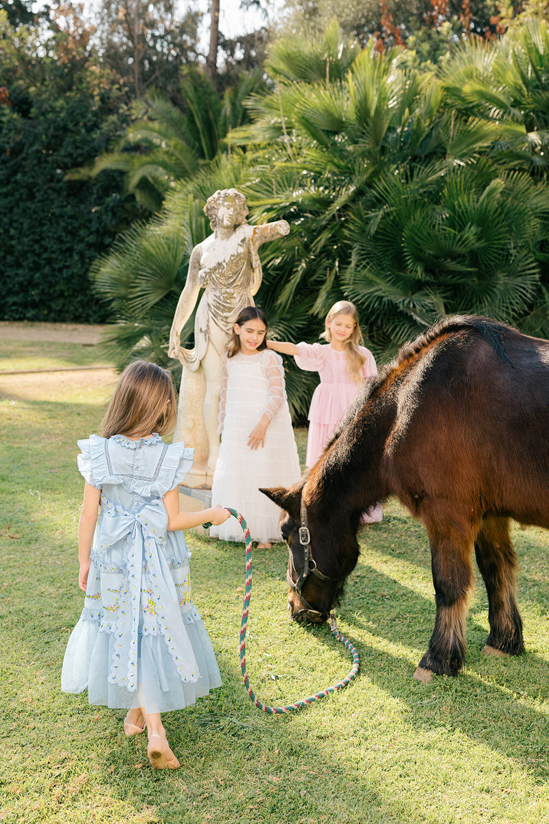 Julianna Dress |Blue Victorian tulle flower girl dress with embroidery –  NELLYSTELLA