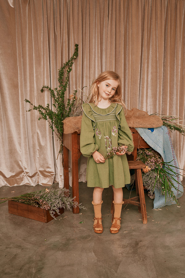 thyme green dress Joyfolie Women's Nirra Dress in Thyme, Large