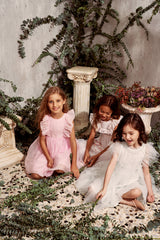 Mae Dress | Ballet Slipper