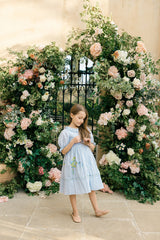 Violet Dress | Ash Blue