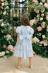 Violet Dress | Ash Blue