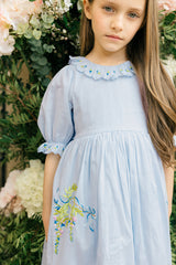 Violet Dress | Ash Blue