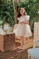 Pink tulle flower girl dress with a ruffle collar