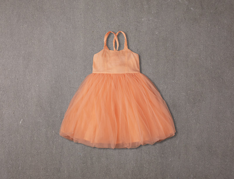 Peach tulle birthday tutu dress with bow